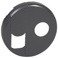 Celiane Лиц.панель Розетки  TV+ RJ-45  Графит